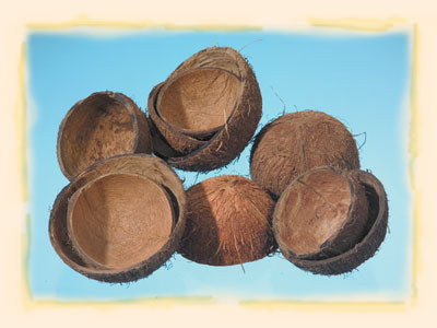 Image for Coaja nuca de cocos natur