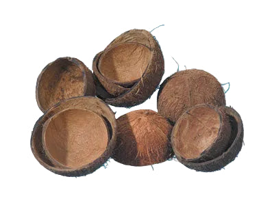 Image for Coaja nuca de cocos natur