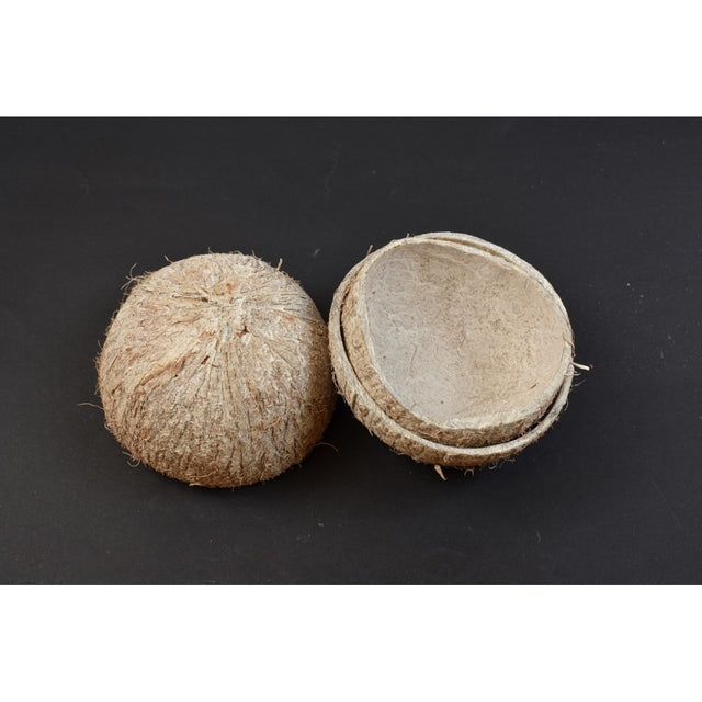 imagine produs Coaja nuca de cocos cu chiciura