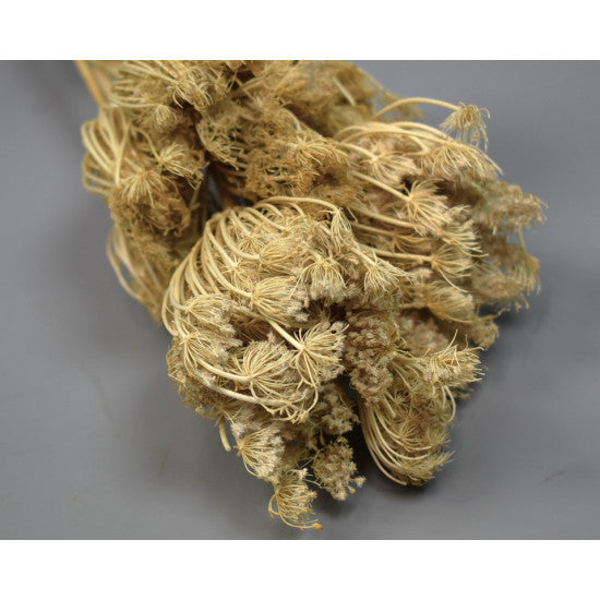 Chimen dulce 60gr inalbit
