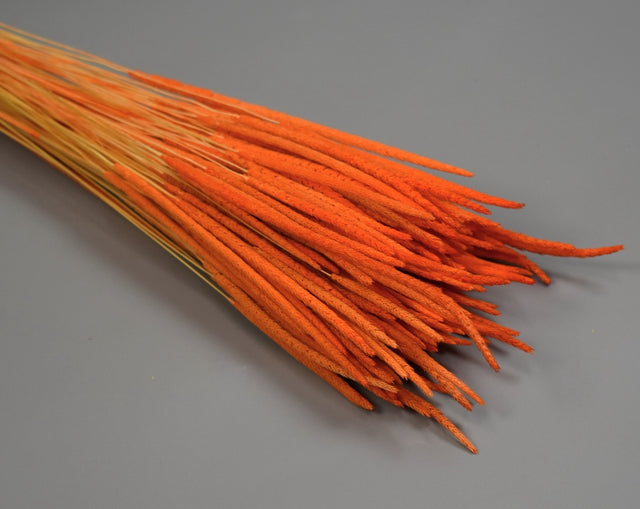 Image for Phleum 80gr orange