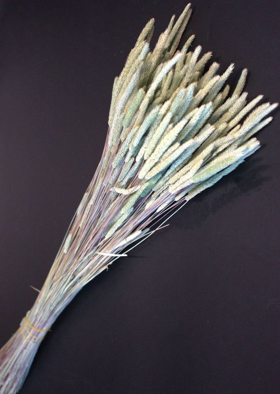 imagine produs Phleum 80gr natural