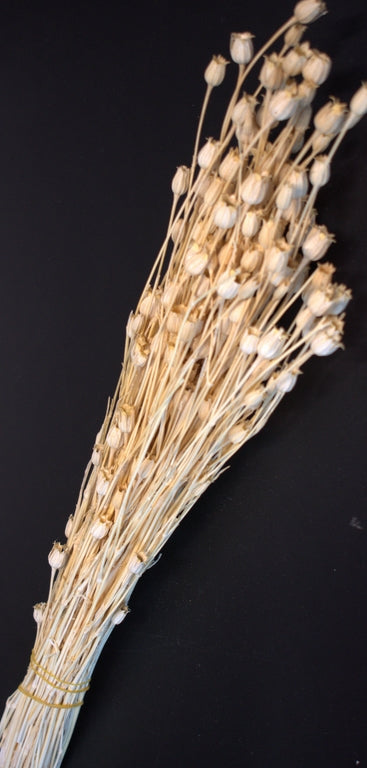 Image for Agrestemma 80gr inalbit