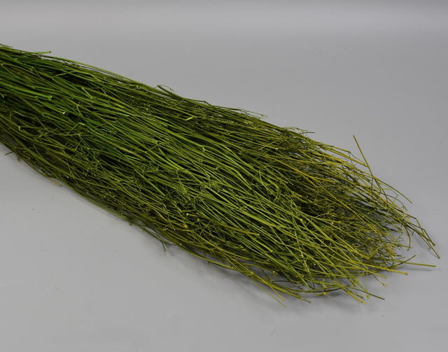 Image for Coriandru 100gr 65cm verde muschi