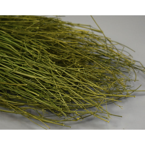 Coriandru 100gr 65cm verde muschi