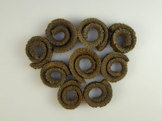 Image for Coarna de berbec natur jumatati