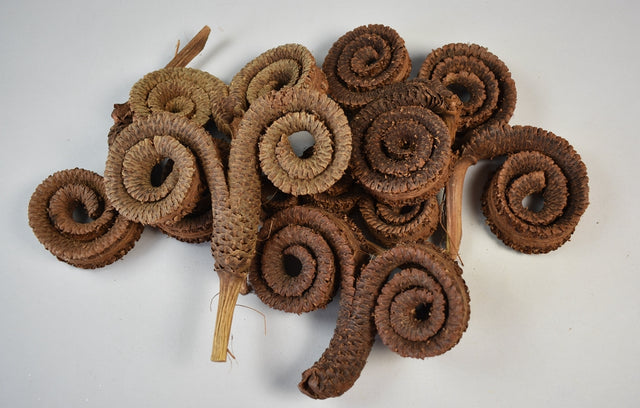 Image for Coarna de berbec natur