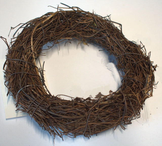 Image for Coronita salim 15cm