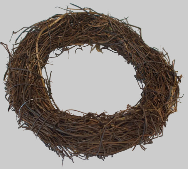 Image for Coronita salim 15cm