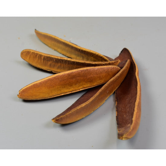 Tangle wing crem