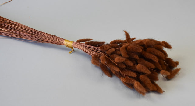 Image for Lagurus 50gr maro