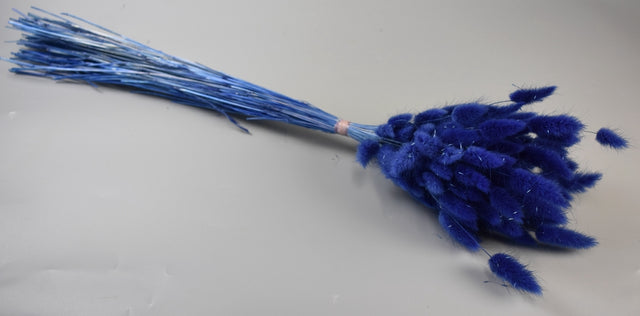 Image for Lagurus 50gr inalbit albastru