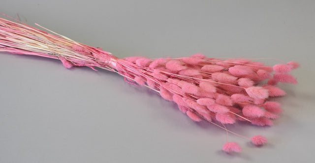 Image for Lagurus 50gr inalbit roz