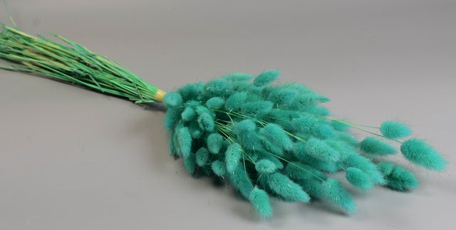 Image for Lagurus 50g inalbit turcoaz