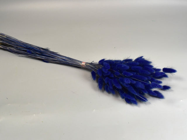 Image for Lagurus 50g albastru