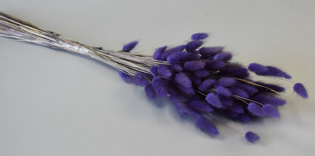 Image for Lagurus 50gr mov