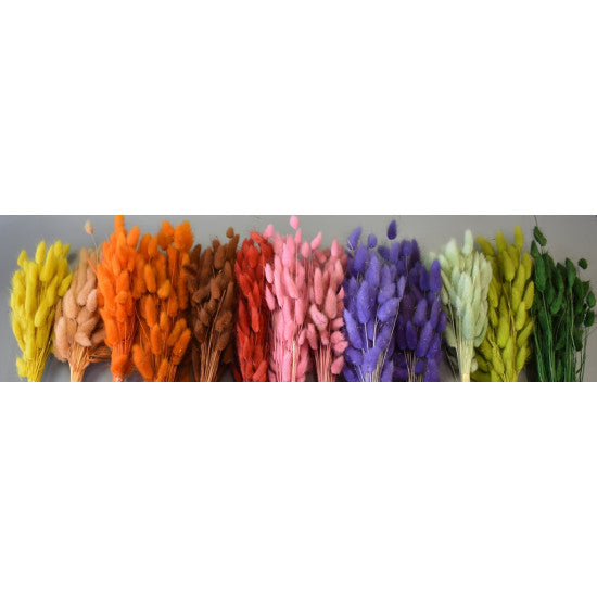 Lagurus 50gr roz