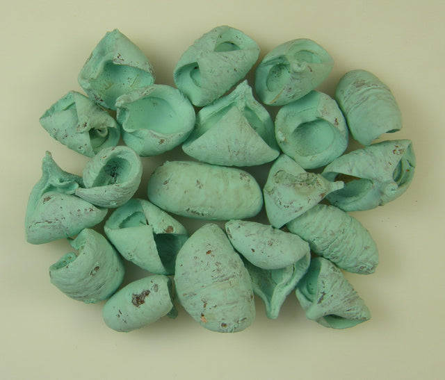 Image for Lali vopsit aqua