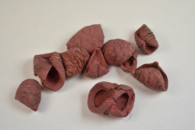 Image for Lali vopsit bordeaux