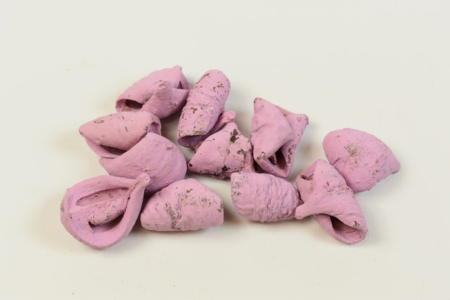 Image for Lali vopsit nalba