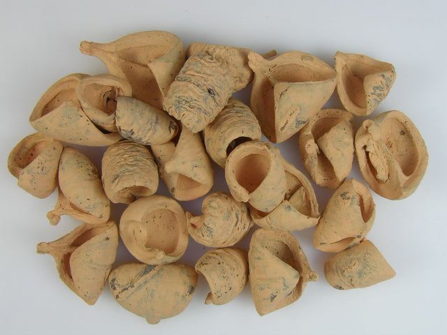 Image for Lali vopsit portocaliu