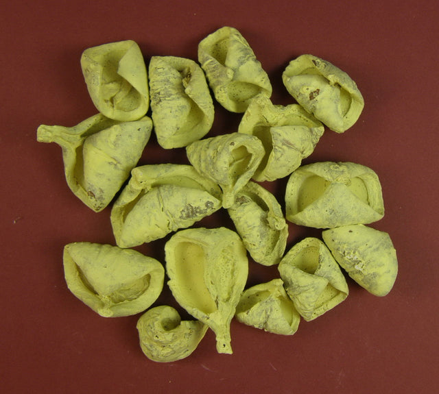 Image for Lali vopsit galben