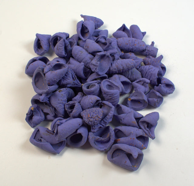 Image for Lali vopsit very pery