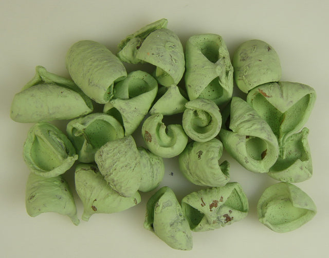 Image for Lali vopsit verde deschis