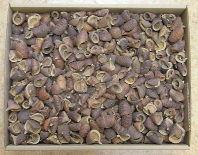 Image for Lali natur 3.9kg