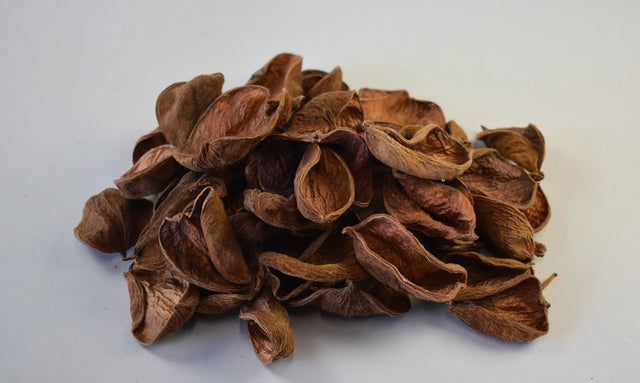 Image for Petale landlotus