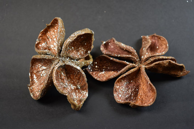 Image for Landlotus cu glitter argintiu