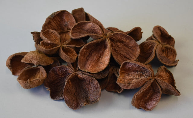 Image for Landlotus natur