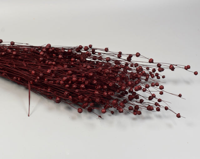 Image for In 100g bordeaux