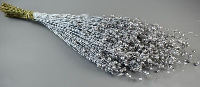 Image for In 100g argintiu