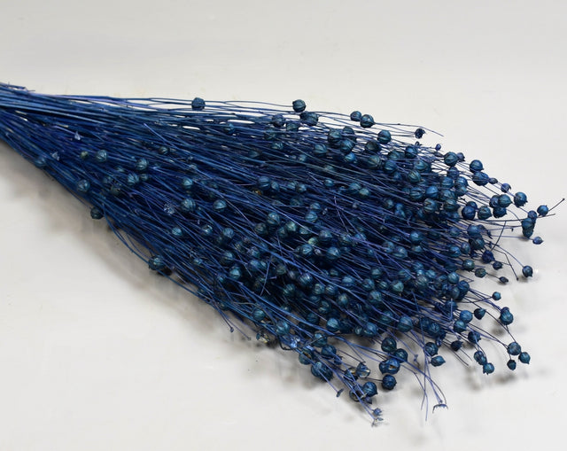 Image for In 100g inalbit albastru