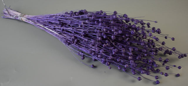 Image for In 100gr inalbit mov