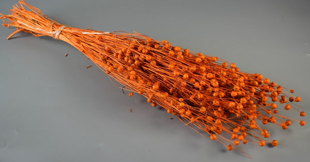 Image for In 100gr inalbit portocaliu