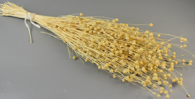 Image for In 100gr inalbit