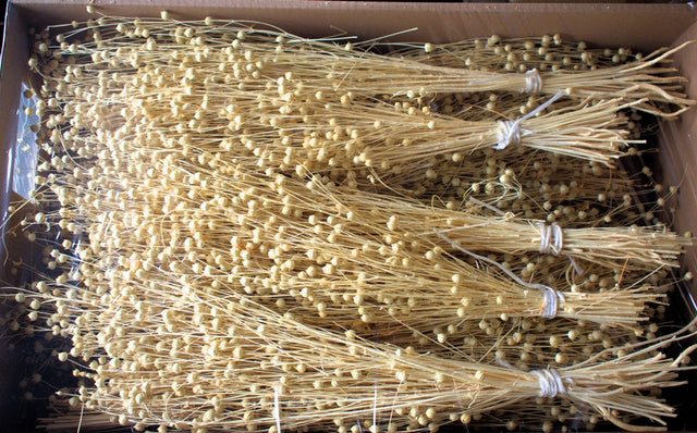 Image for In inalbit 1,5kg