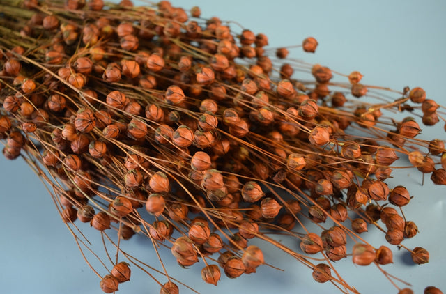 Image for In 100gr portocaliu