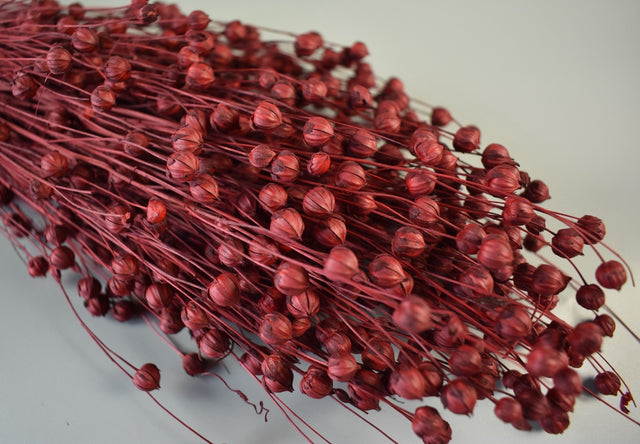 Image for In 100gr rosu