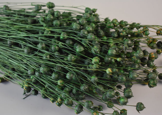 Image for In 100gr verde inchis