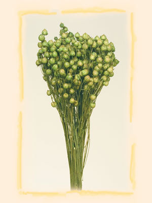 Image for In 100g verde deschis