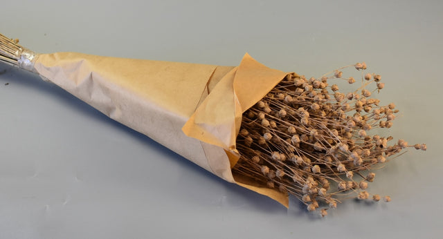 Image for In vopsit 100gr cappucino