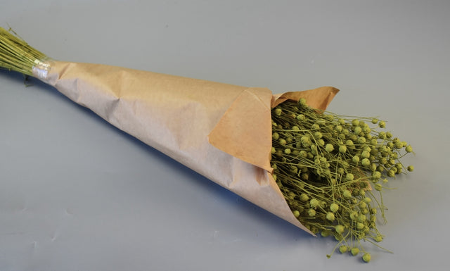 Image for In vopsit verde oliv