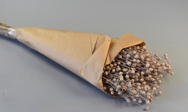 Image for In vopsit roz