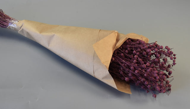 Image for In 100gr vopsit mure