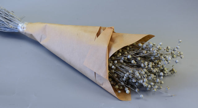 Image for In 100gr albastru deschis