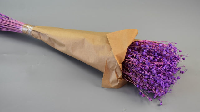 Image for In 100g inalbit mov