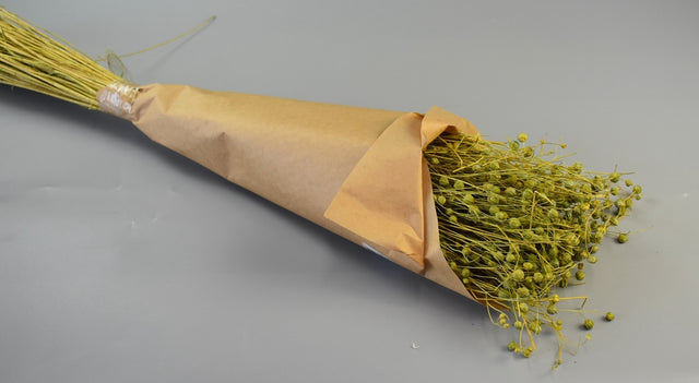 Image for In 100g inalbit lime